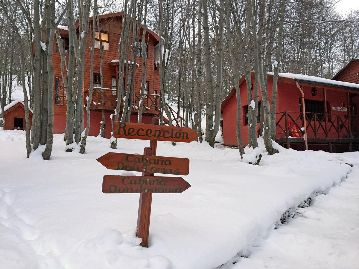 Cabanas Bosque Del Faldeo Ushuaia Bagian luar foto