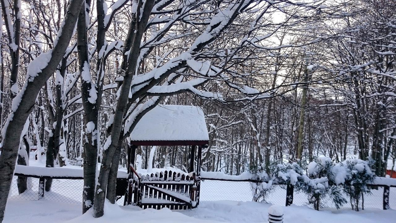 Cabanas Bosque Del Faldeo Ushuaia Bagian luar foto