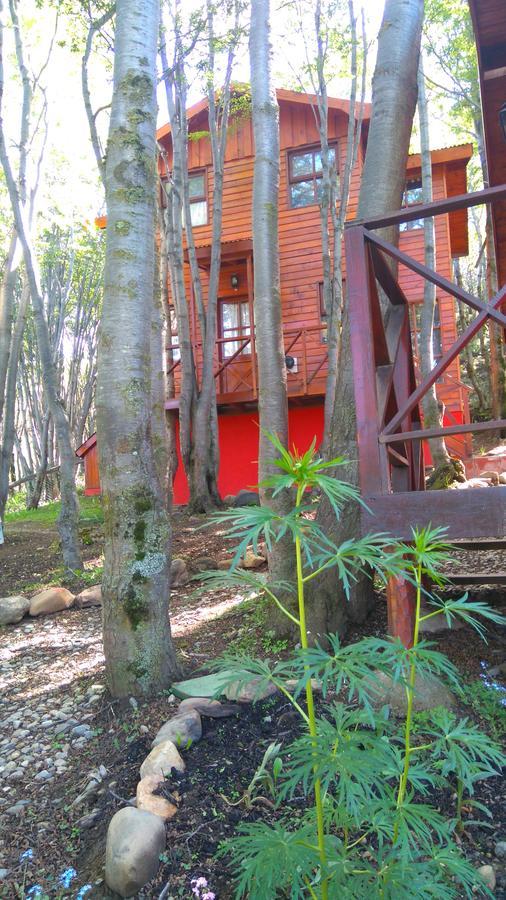 Cabanas Bosque Del Faldeo Ushuaia Bagian luar foto